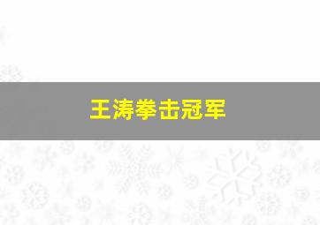 王涛拳击冠军