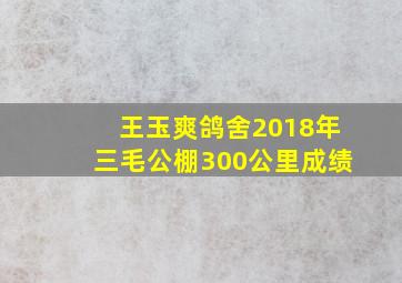 王玉爽鸽舍2018年三毛公棚300公里成绩