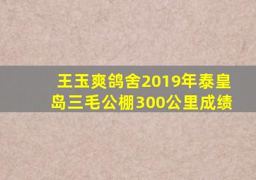 王玉爽鸽舍2019年泰皇岛三毛公棚300公里成绩