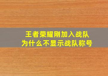 王者荣耀刚加入战队为什么不显示战队称号