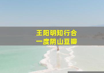 王阳明知行合一度阴山豆瓣