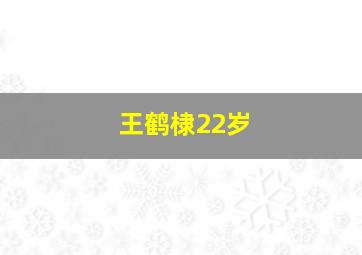 王鹤棣22岁