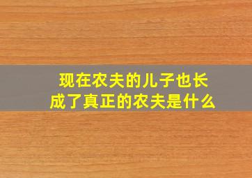 现在农夫的儿子也长成了真正的农夫是什么