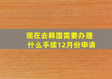 现在去韩国需要办理什么手续12月份申请