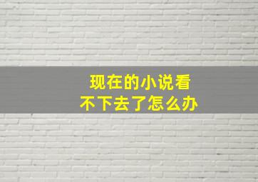 现在的小说看不下去了怎么办