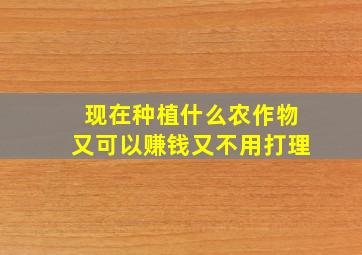 现在种植什么农作物又可以赚钱又不用打理