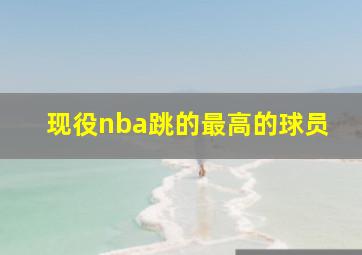 现役nba跳的最高的球员