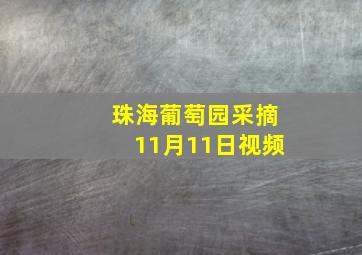 珠海葡萄园采摘11月11日视频