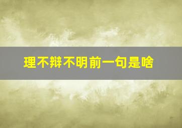 理不辩不明前一句是啥