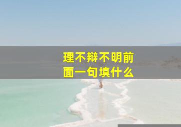 理不辩不明前面一句填什么