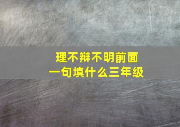 理不辩不明前面一句填什么三年级