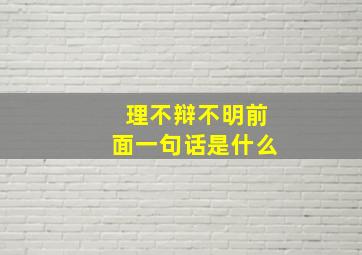 理不辩不明前面一句话是什么