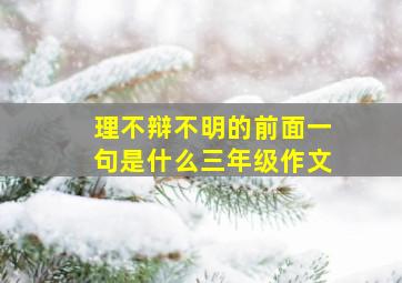 理不辩不明的前面一句是什么三年级作文