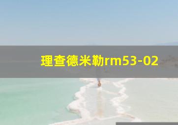 理查德米勒rm53-02