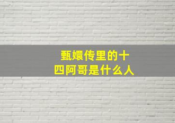 甄嬛传里的十四阿哥是什么人