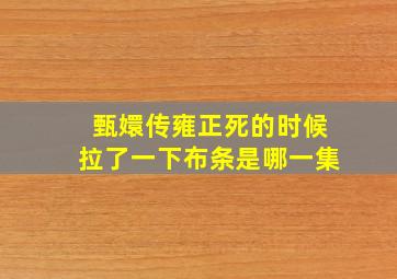 甄嬛传雍正死的时候拉了一下布条是哪一集