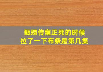 甄嬛传雍正死的时候拉了一下布条是第几集