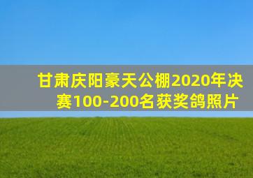 甘肃庆阳豪天公棚2020年决赛100-200名获奖鸽照片