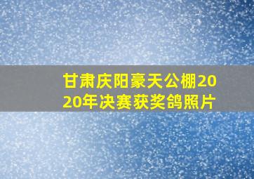 甘肃庆阳豪天公棚2020年决赛获奖鸽照片