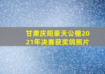 甘肃庆阳豪天公棚2021年决赛获奖鸽照片