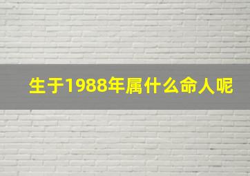 生于1988年属什么命人呢