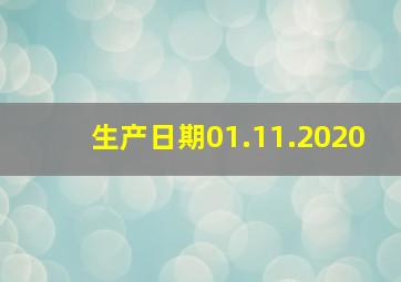 生产日期01.11.2020