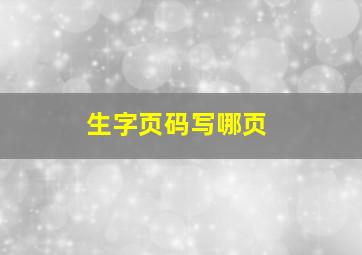 生字页码写哪页