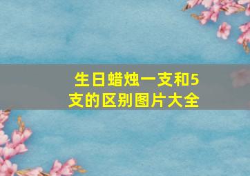 生日蜡烛一支和5支的区别图片大全