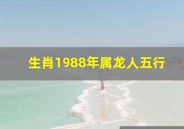 生肖1988年属龙人五行