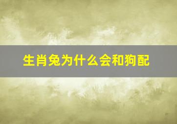 生肖兔为什么会和狗配