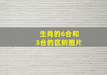 生肖的6合和3合的区别图片