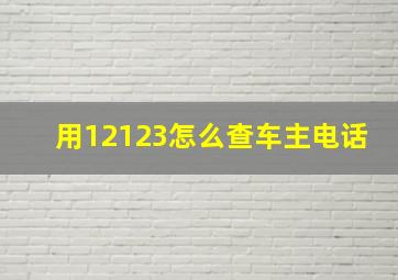 用12123怎么查车主电话