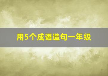 用5个成语造句一年级