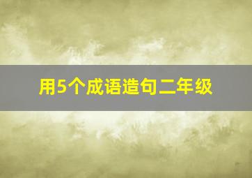 用5个成语造句二年级