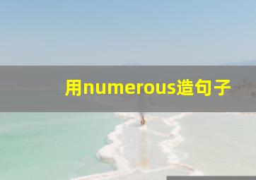 用numerous造句子