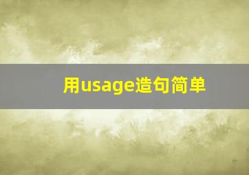 用usage造句简单