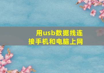 用usb数据线连接手机和电脑上网