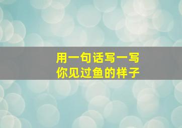 用一句话写一写你见过鱼的样子