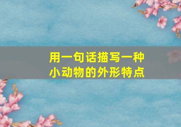 用一句话描写一种小动物的外形特点