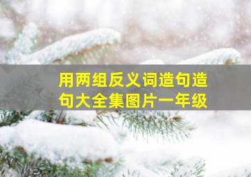 用两组反义词造句造句大全集图片一年级