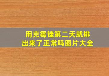 用克霉锉第二天就排出来了正常吗图片大全