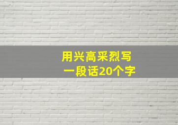 用兴高采烈写一段话20个字