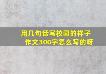 用几句话写校园的样子作文300字怎么写的呀