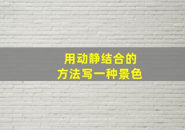 用动静结合的方法写一种景色