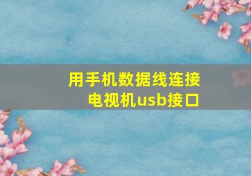 用手机数据线连接电视机usb接口