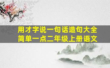 用才字说一句话造句大全简单一点二年级上册语文