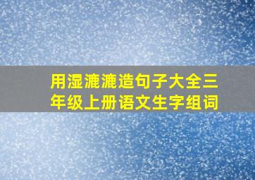 用湿漉漉造句子大全三年级上册语文生字组词