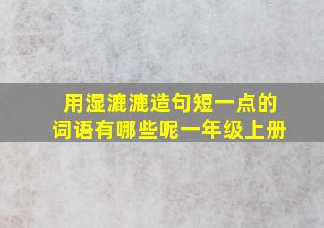 用湿漉漉造句短一点的词语有哪些呢一年级上册