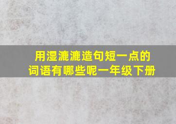 用湿漉漉造句短一点的词语有哪些呢一年级下册