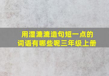 用湿漉漉造句短一点的词语有哪些呢三年级上册